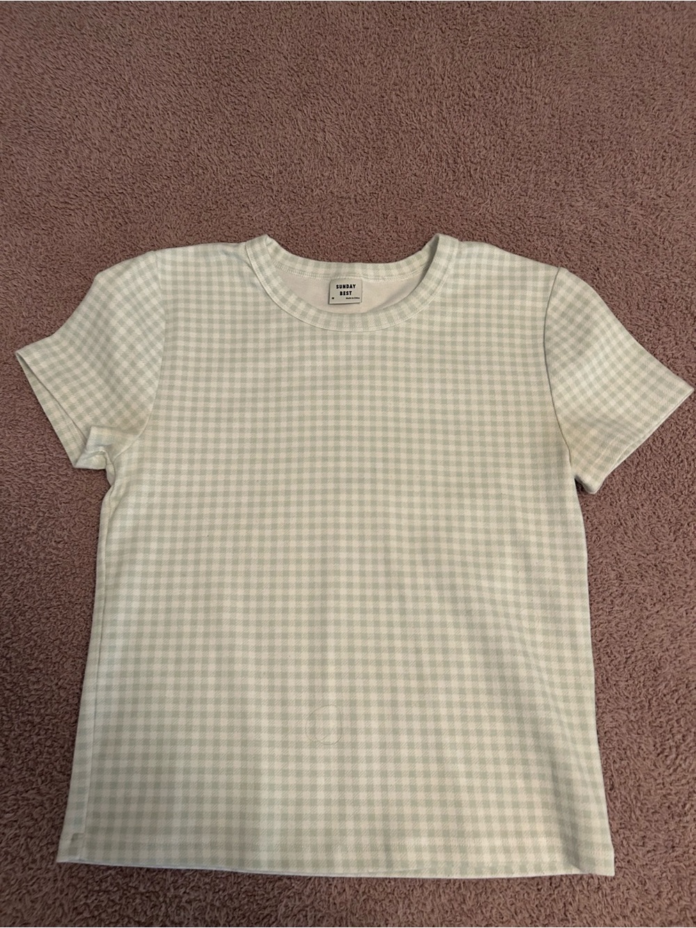 Never Worn Sunday Best Mint Green Gingham Tee